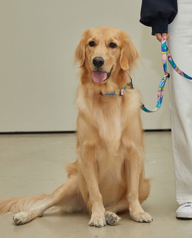 andblank andblank x Spongebob Collar - Patrick - CreatureLand