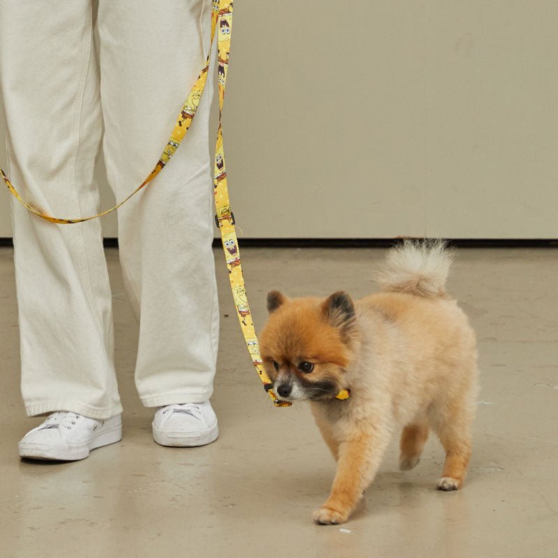 andblank andblank x Spongebob Collar - SpongeBob - CreatureLand