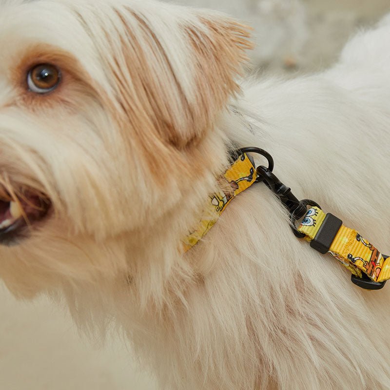 andblank andblank x Spongebob Collar - SpongeBob - CreatureLand
