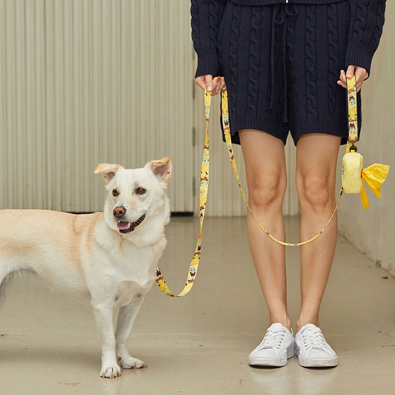 andblank andblank x Spongebob Collar - SpongeBob - CreatureLand