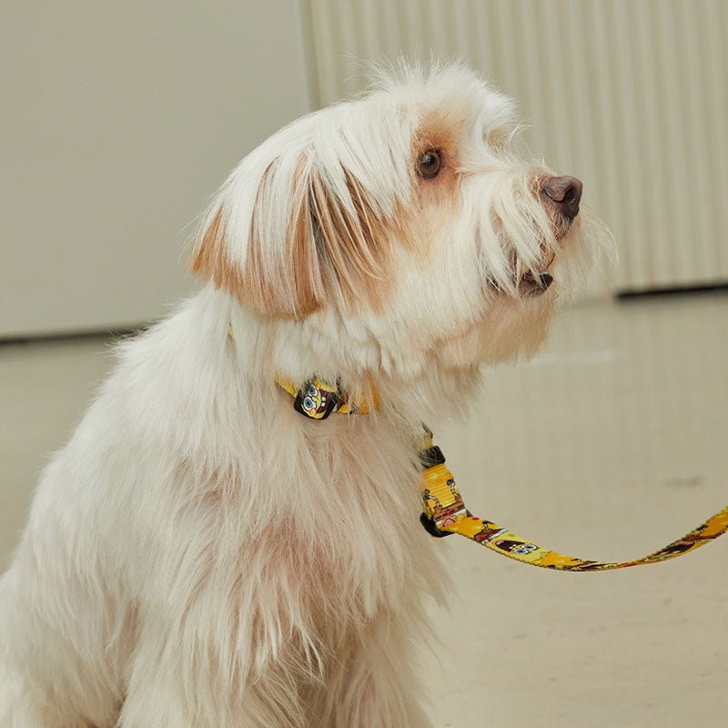 andblank andblank x Spongebob Collar - SpongeBob - CreatureLand