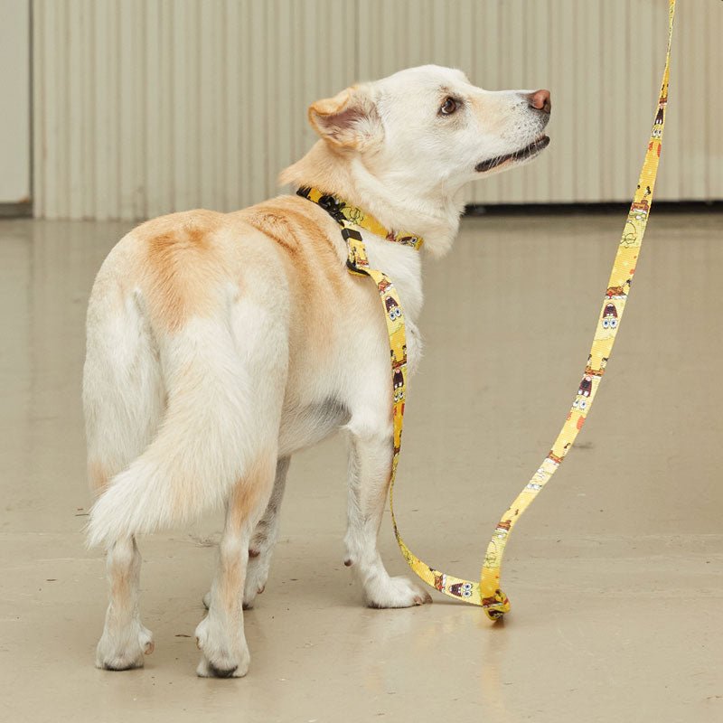 andblank andblank x Spongebob Collar - SpongeBob - CreatureLand