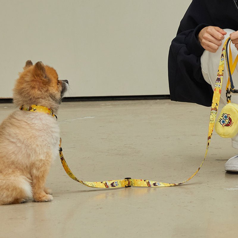 andblank andblank x Spongebob Collar - SpongeBob - CreatureLand