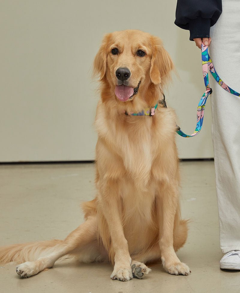 andblank andblank x Spongebob Hands-Free Leash - Patrick - CreatureLand