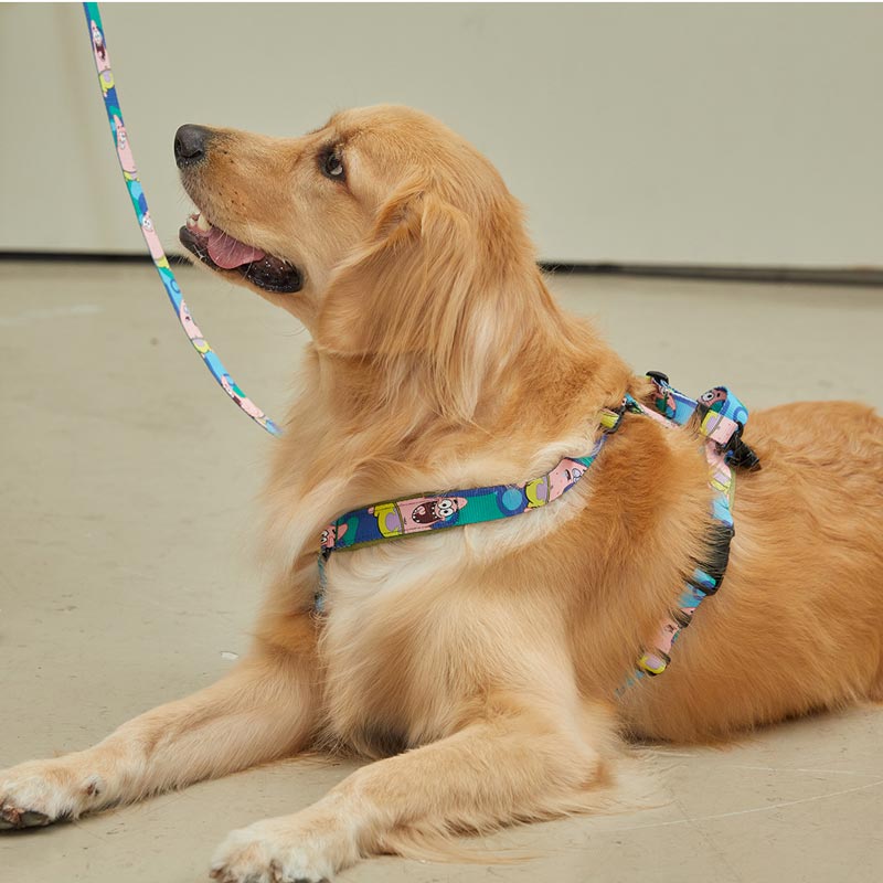 andblank andblank x Spongebob Hands-Free Leash - Patrick - CreatureLand