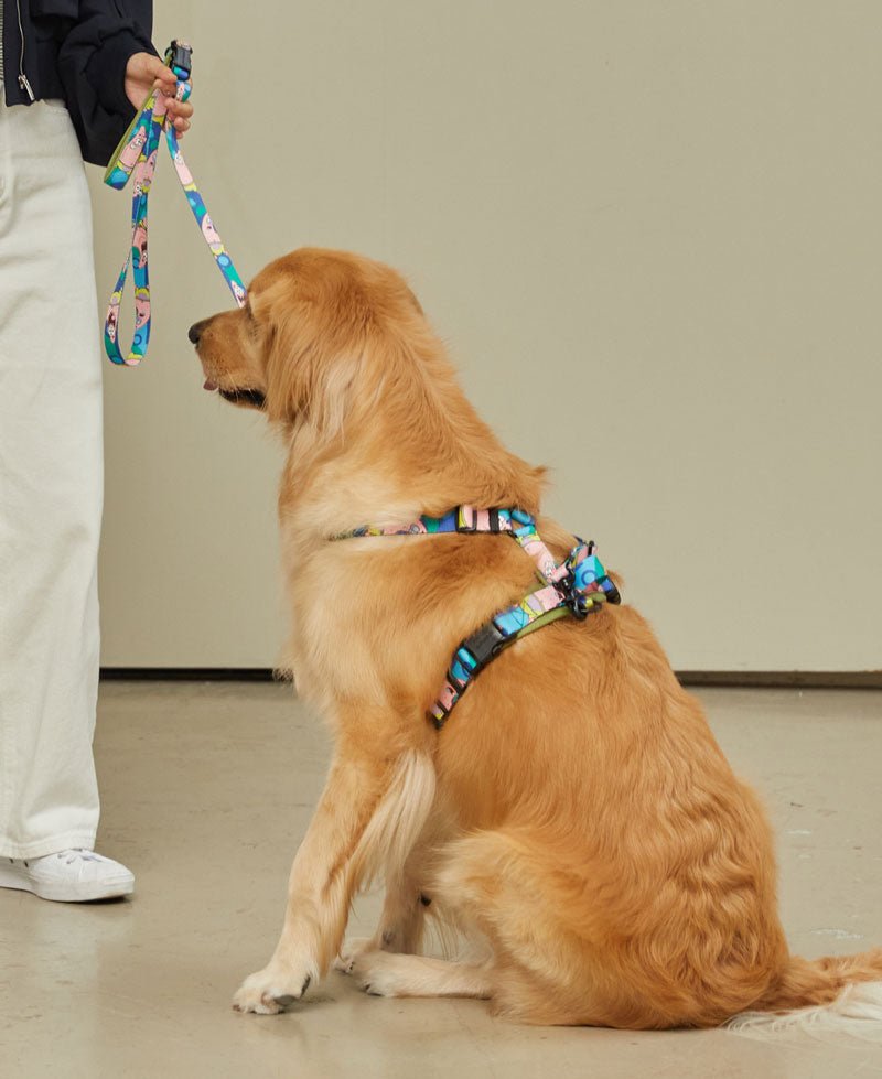 andblank andblank x Spongebob Hands-Free Leash - Patrick - CreatureLand