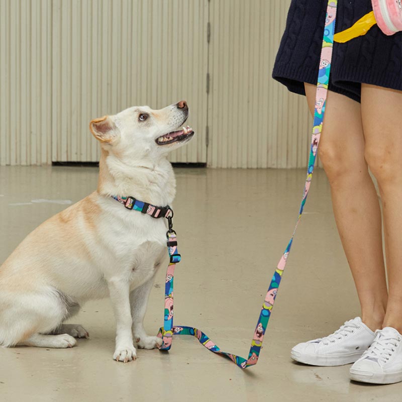 andblank andblank x Spongebob Hands-Free Leash - Patrick - CreatureLand