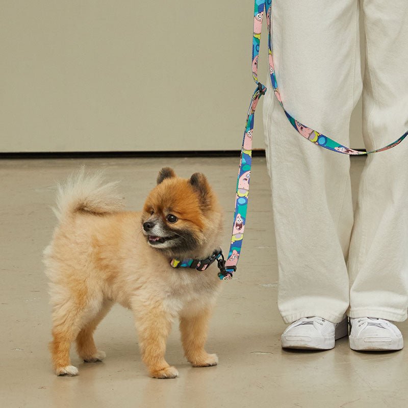 andblank andblank x Spongebob Hands-Free Leash - Patrick - CreatureLand