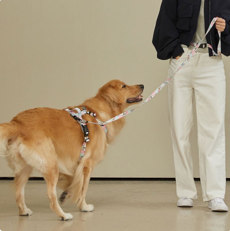andblank andblank x Spongebob Hands-Free Leash - Sandy - CreatureLand