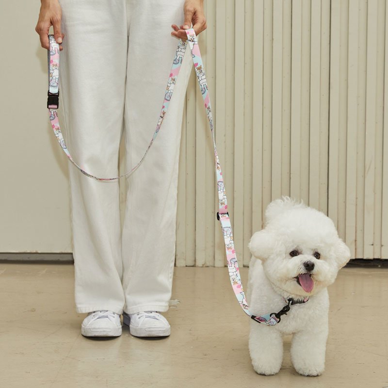 andblank andblank x Spongebob Hands-Free Leash - Sandy - CreatureLand