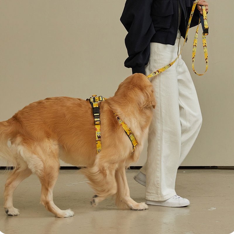 andblank andblank x Spongebob Hands-Free Leash - SpongeBob - CreatureLand