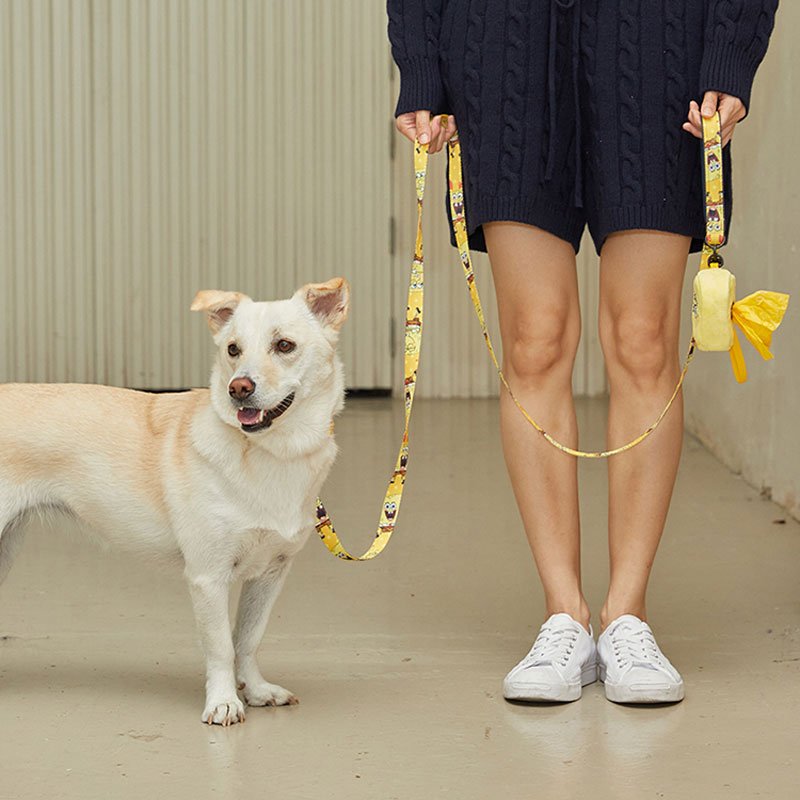 andblank andblank x Spongebob Hands-Free Leash - SpongeBob - CreatureLand