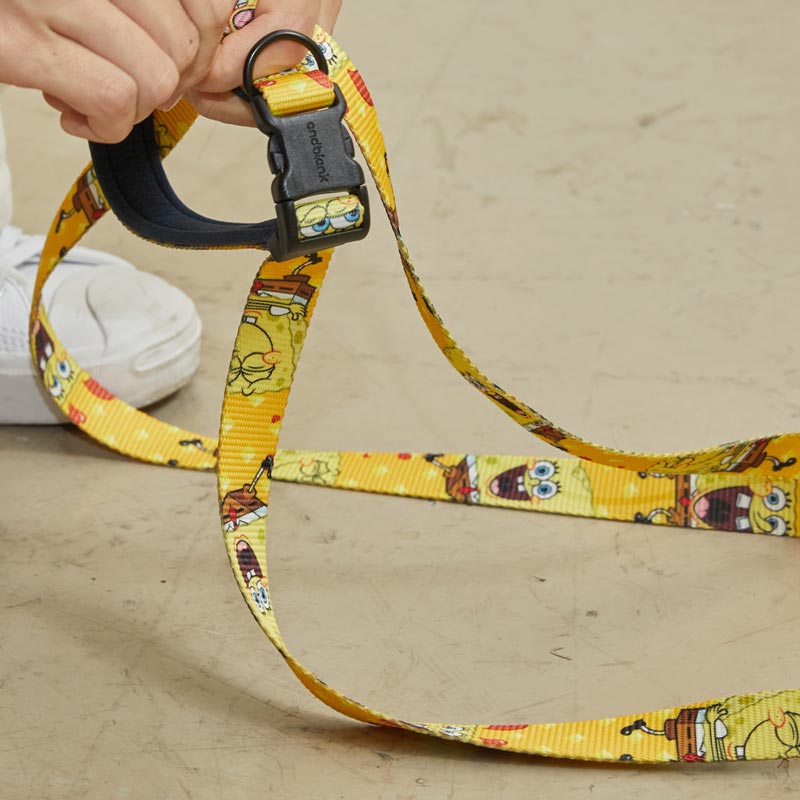 andblank andblank x Spongebob Hands-Free Leash - SpongeBob - CreatureLand
