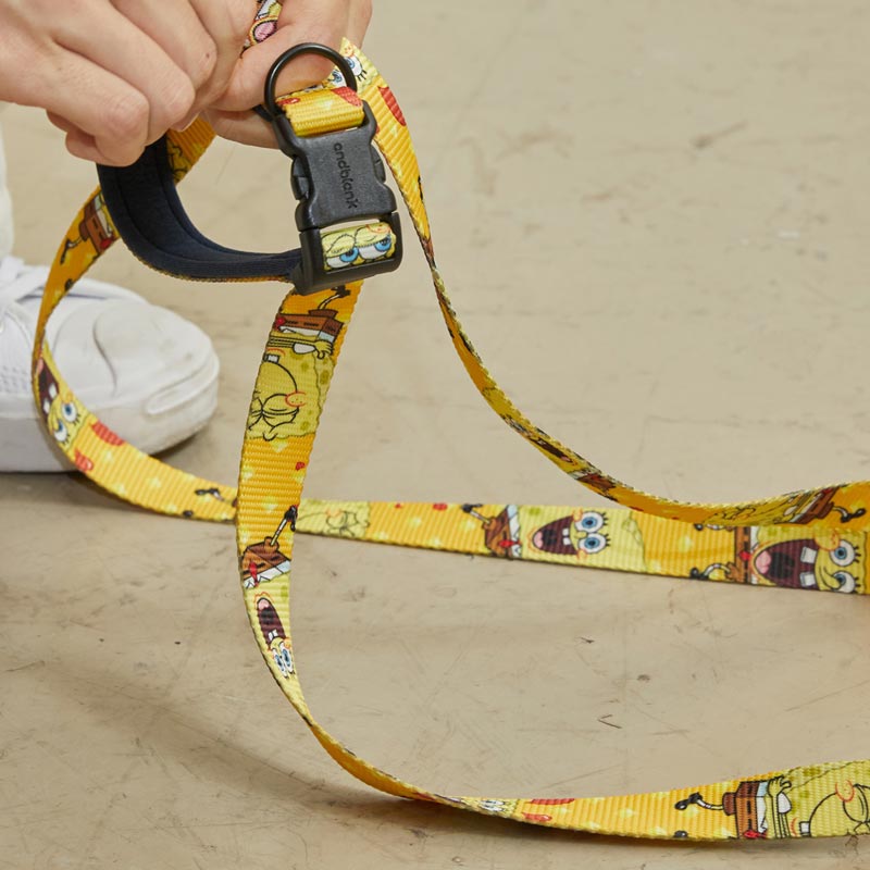andblank andblank x Spongebob Hands-Free Leash - SpongeBob - CreatureLand