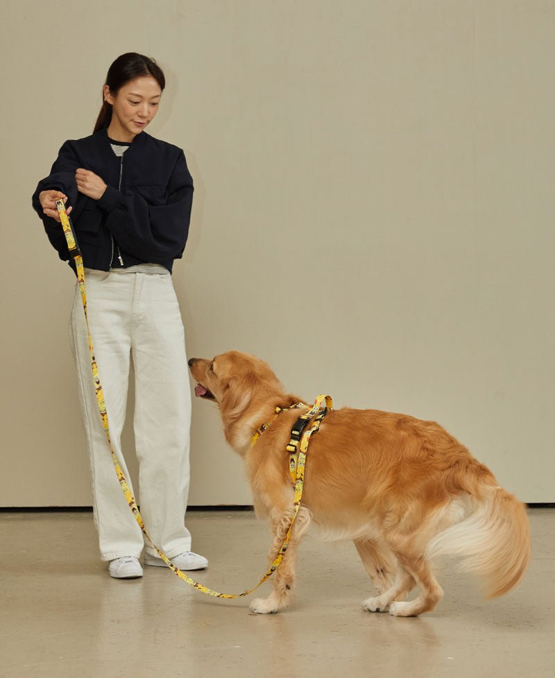 andblank andblank x Spongebob Hands-Free Leash - SpongeBob - CreatureLand