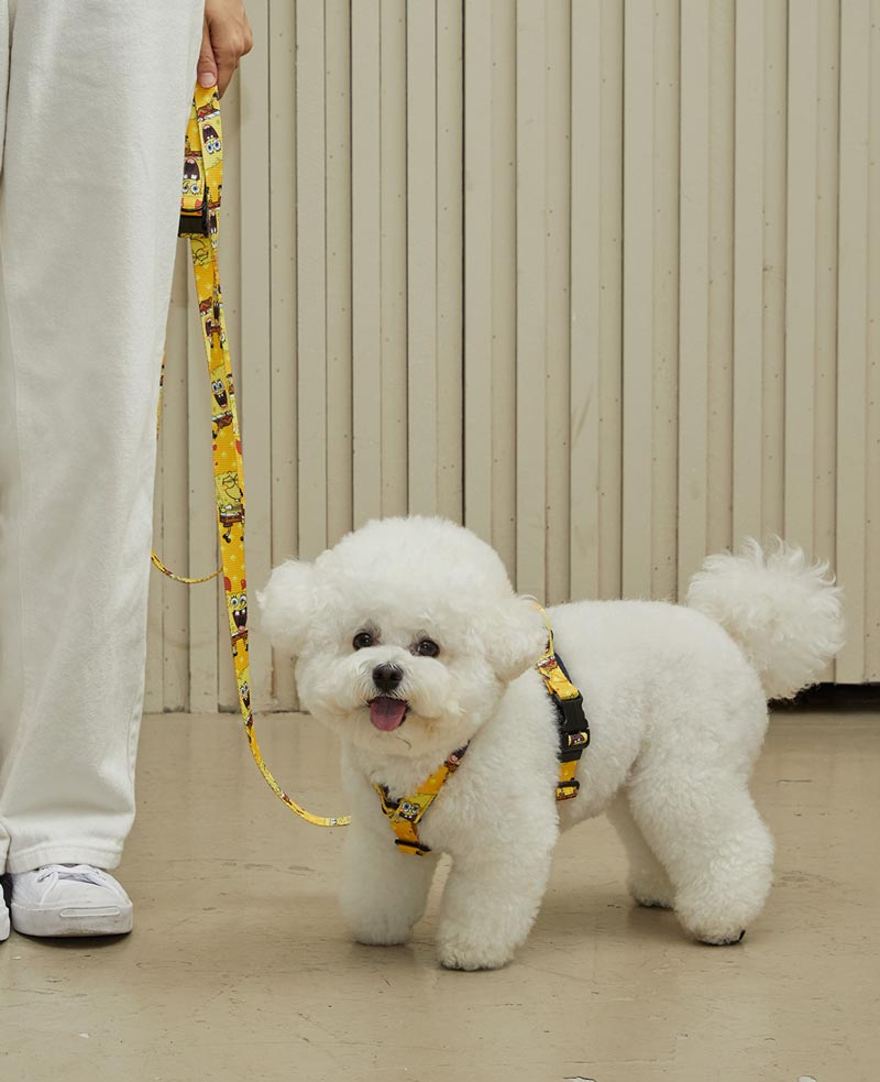 andblank andblank x Spongebob Hands-Free Leash - SpongeBob - CreatureLand