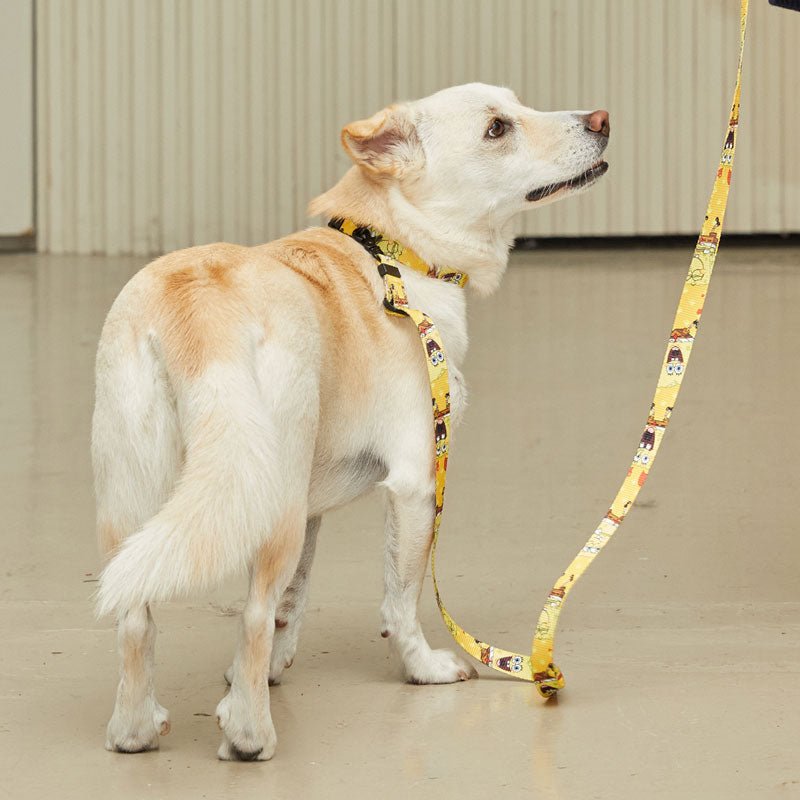 andblank andblank x Spongebob Hands-Free Leash - SpongeBob - CreatureLand