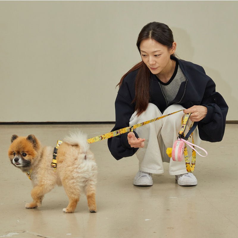 andblank andblank x Spongebob Hands-Free Leash - SpongeBob - CreatureLand
