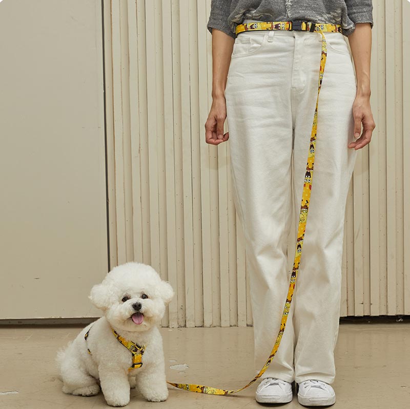andblank andblank x Spongebob Hands-Free Leash - SpongeBob - CreatureLand