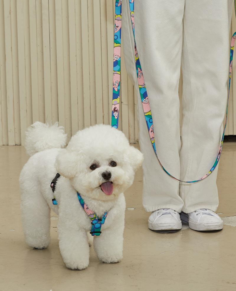 andblank andblank x Spongebob Pro Light Harness - Patrick - CreatureLand