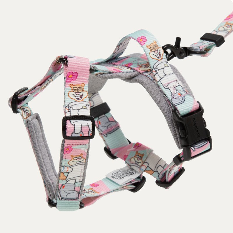 andblank andblank x Spongebob Pro Light Harness - Sandy - CreatureLand