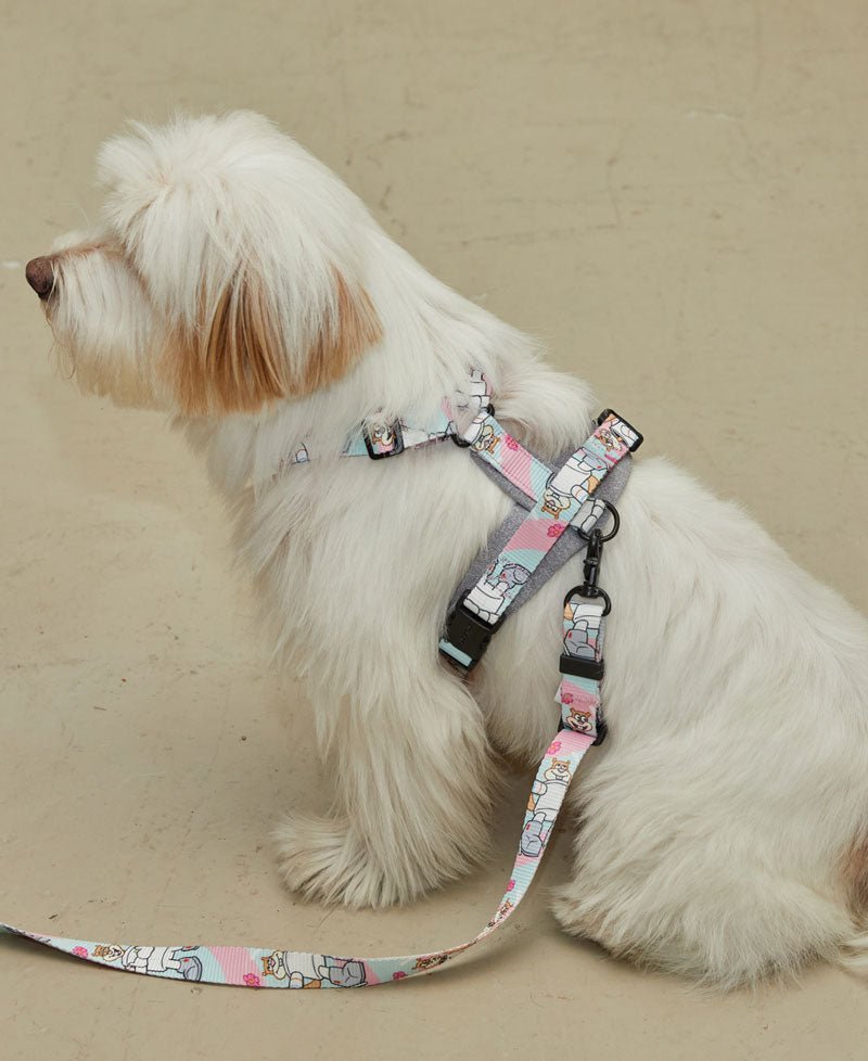 andblank andblank x Spongebob Pro Light Harness - Sandy - CreatureLand
