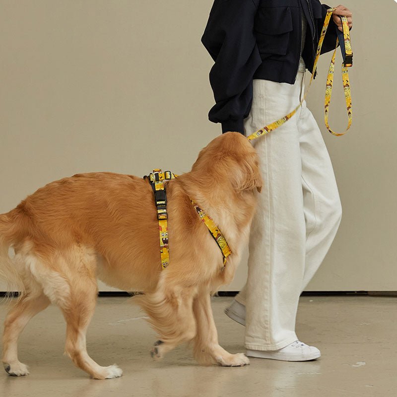 andblank andblank x Spongebob Pro Light Harness - SpongeBob - CreatureLand