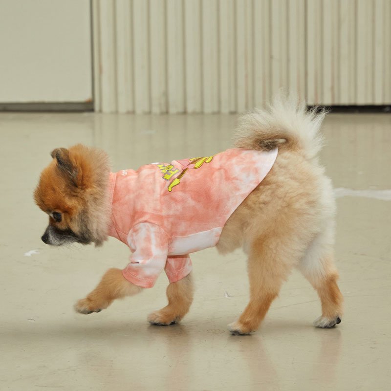 andblank andblank x Spongebob Tie-Dye T-shirt -Patrick - CreatureLand