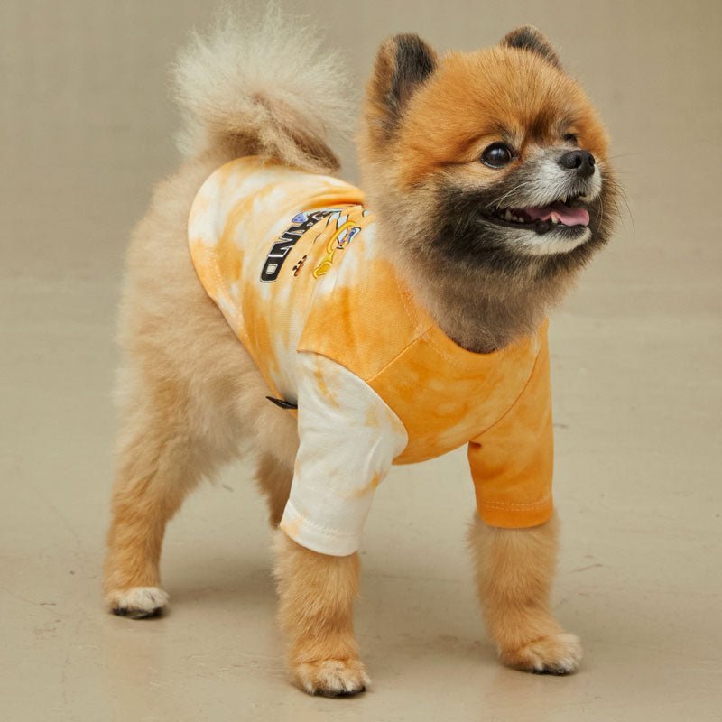 andblank andblank x Spongebob Tie-Dye T-shirt -Squidward - CreatureLand