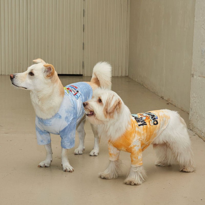 andblank andblank x Spongebob Tie-Dye T-shirt -Squidward - CreatureLand