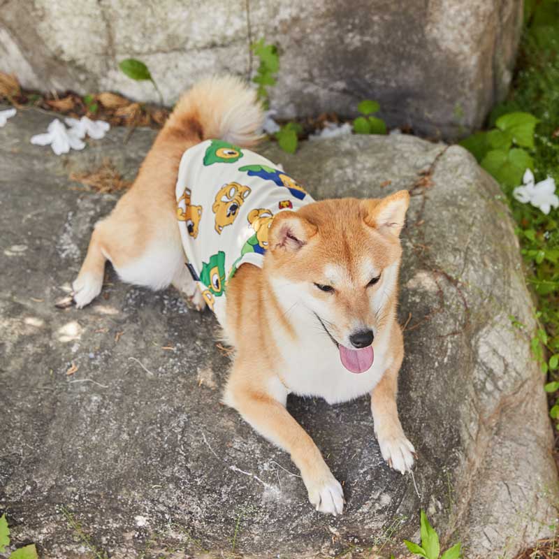 andblank Bug Guard Cooling Top - Joy Bear - CreatureLand