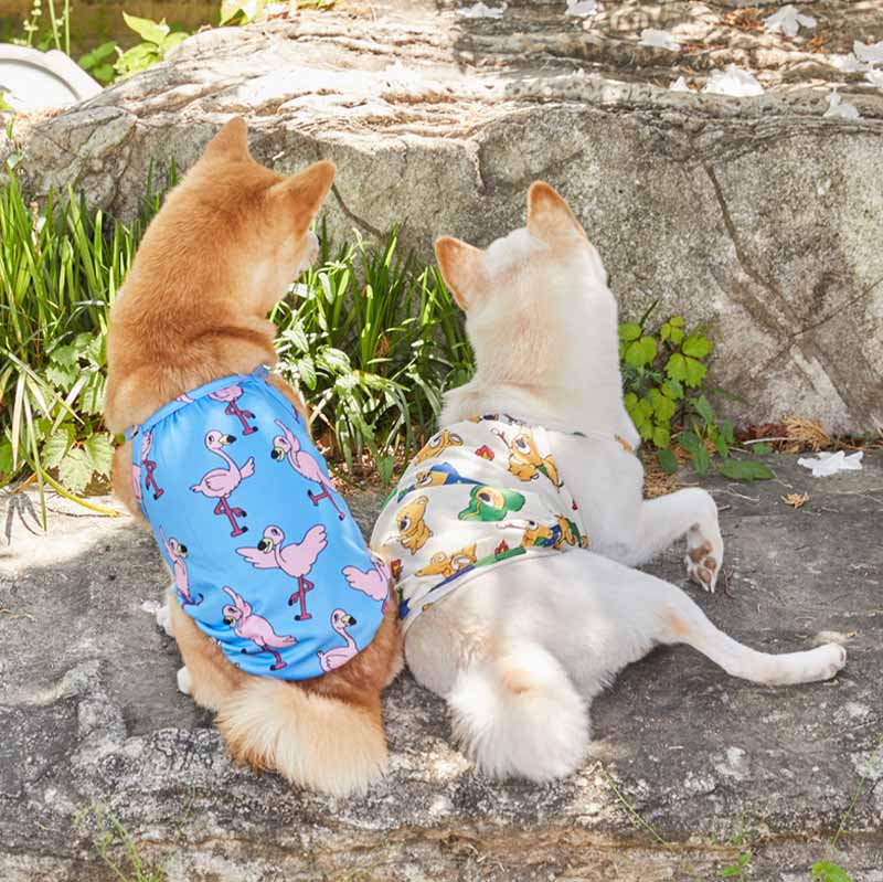 andblank Bug Guard Cooling Top - Joy Bear - CreatureLand