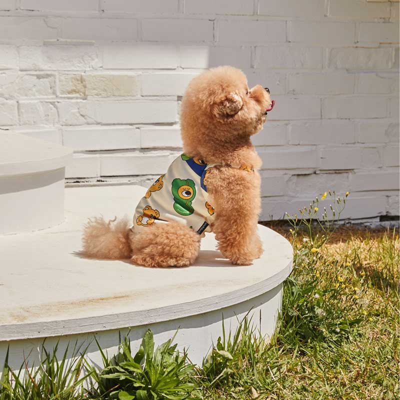 andblank Bug Guard Cooling Top - Joy Bear - CreatureLand