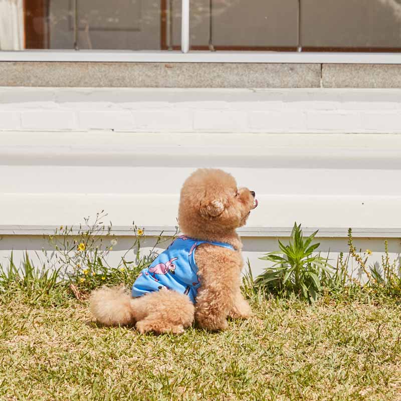 andblank Bug Guard Cooling Top - Waikiki Flamingo - CreatureLand