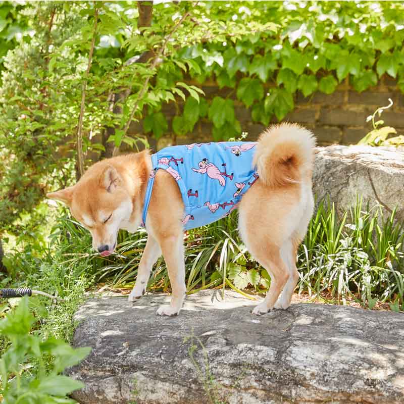 andblank Bug Guard Cooling Top - Waikiki Flamingo - CreatureLand