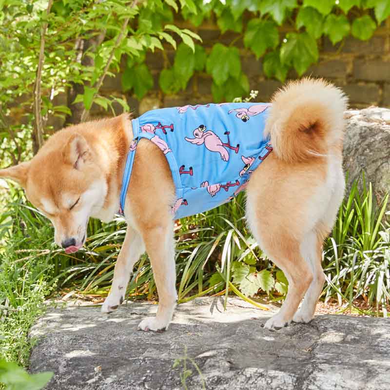andblank Bug Guard Cooling Top - Waikiki Flamingo - CreatureLand