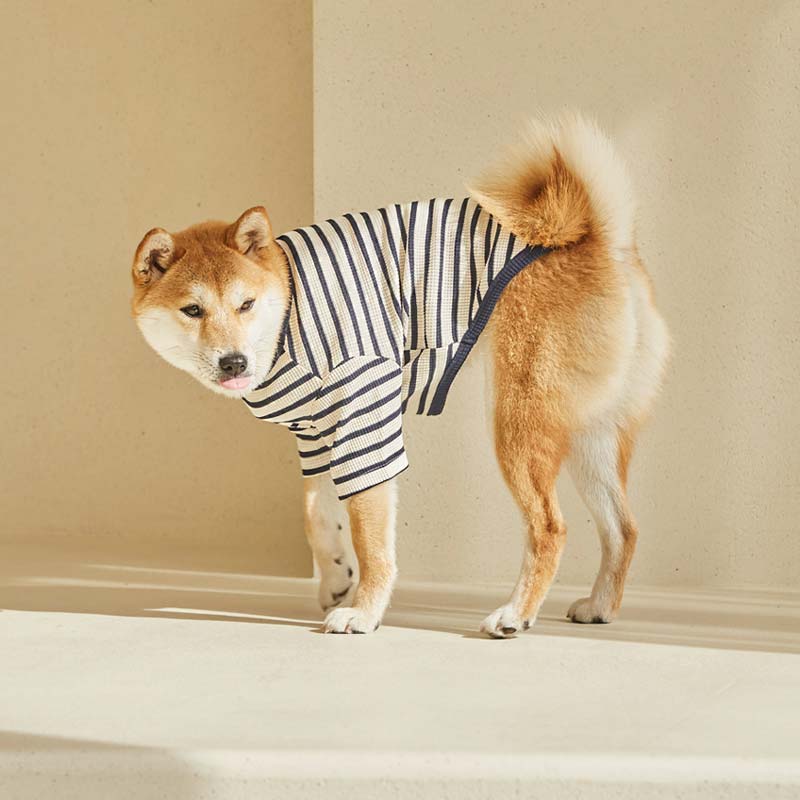 andblank Captain Fox Stripe Sleeve Shirt - Black/White - CreatureLand
