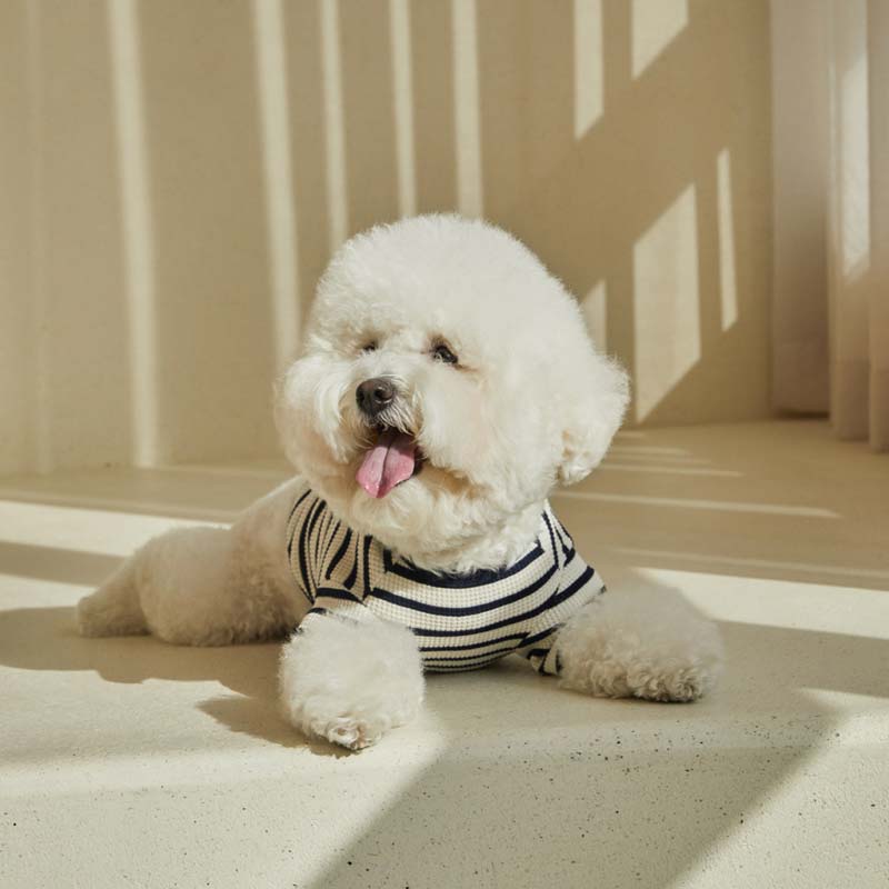 andblank Captain Fox Stripe Sleeve Shirt - Black/White - CreatureLand