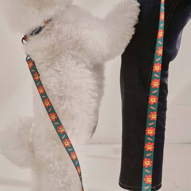 andblank Flower Lion Pet Collar - Green - CreatureLand
