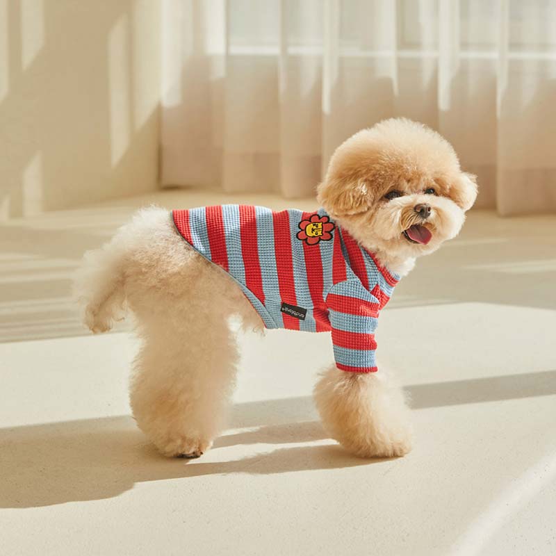 andblank Flower Lion Stripe Sleeve Shirt - Sky Blue/ Red - CreatureLand