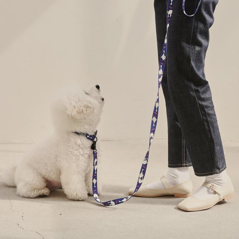 andblank Flying Duck Pet Collar - Blue - CreatureLand