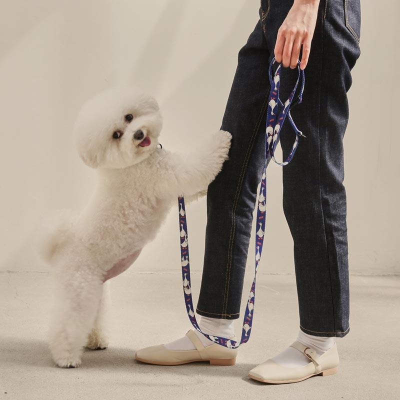 andblank Flying Duck Pet Collar - Blue - CreatureLand