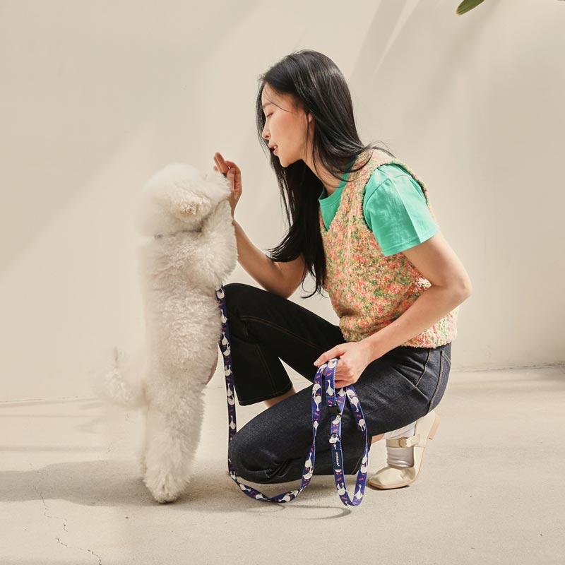 andblank Flying Duck Pet Collar - Blue - CreatureLand