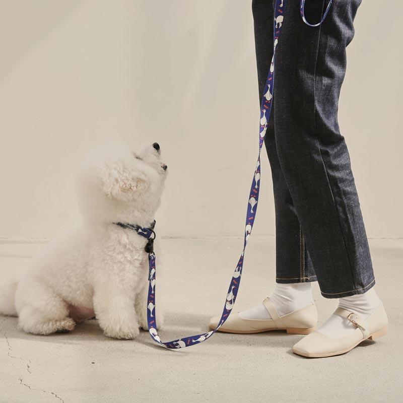 andblank Flying Duck Pet Leash - Blue - CreatureLand
