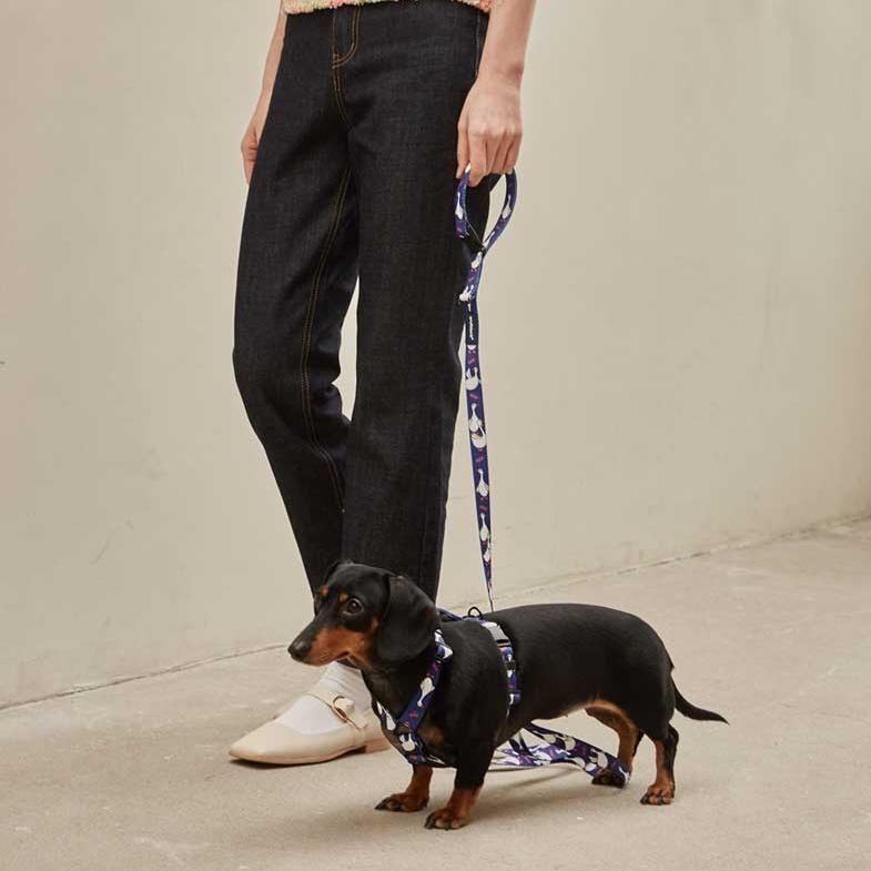 andblank Flying Duck Pet Leash - Blue - CreatureLand