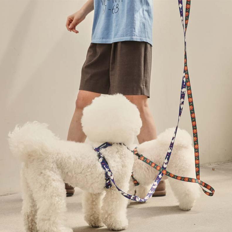 andblank Flying Duck Pet Leash - Blue - CreatureLand