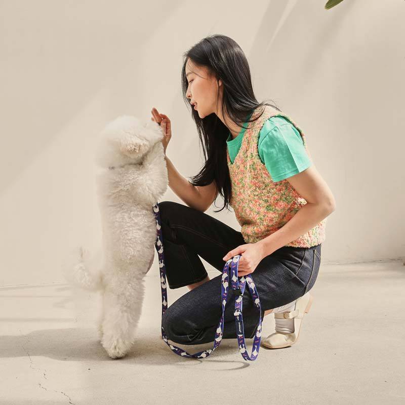 andblank Flying Duck Pet Leash - Blue - CreatureLand