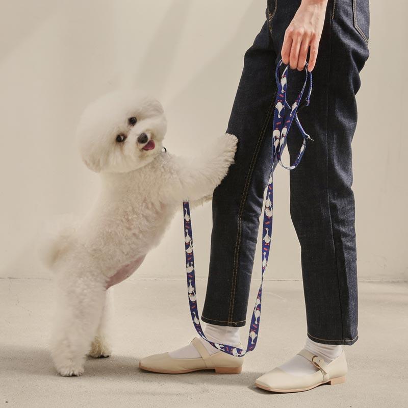andblank Flying Duck Pet Leash - Blue - CreatureLand