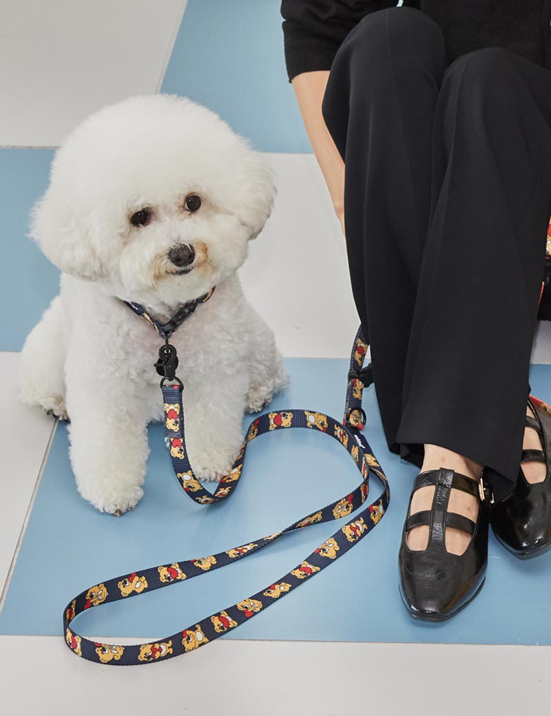 andblank Joy Bear Pet Collar - Midnight Blue - CreatureLand