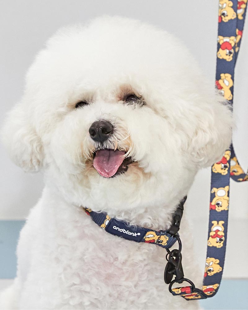 andblank Joy Bear Pet Collar - Midnight Blue - CreatureLand